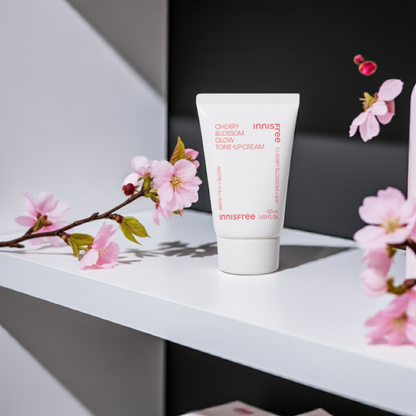 Innisfree Jeju Cherry Blossom Glow Tone Up Cream Tube 50ml on a shelf